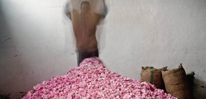 Rose Incense