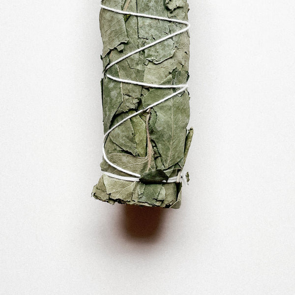 EUCALYPTUS