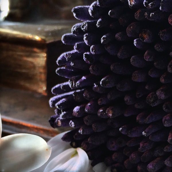 Blue Lotus Pure Incense Sticks